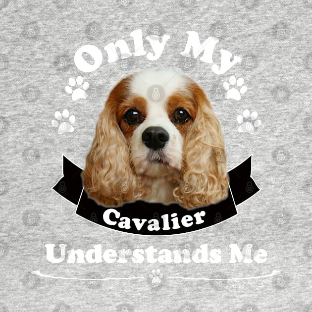 Only My Cavalier Understands Me T-shirts and Gifts by Cavalier Gifts